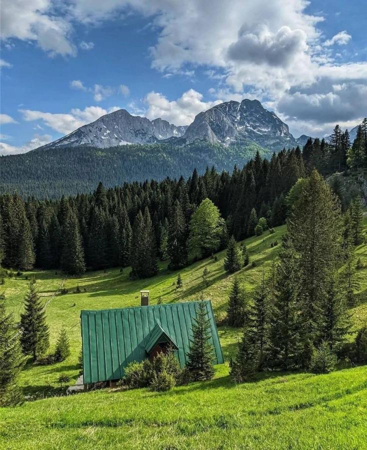 ŽabljakMagic Mountain别墅 外观 照片