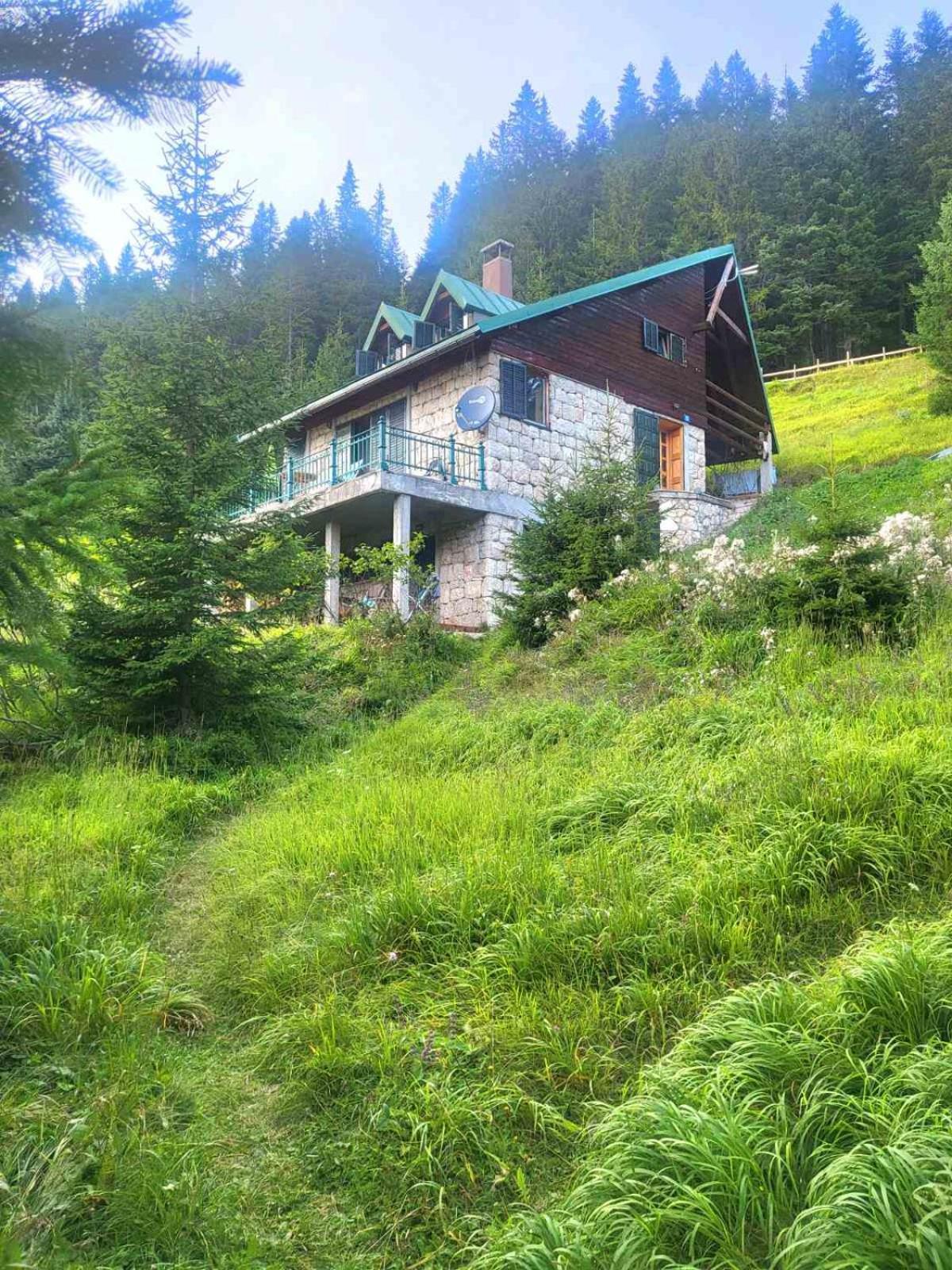 ŽabljakMagic Mountain别墅 外观 照片
