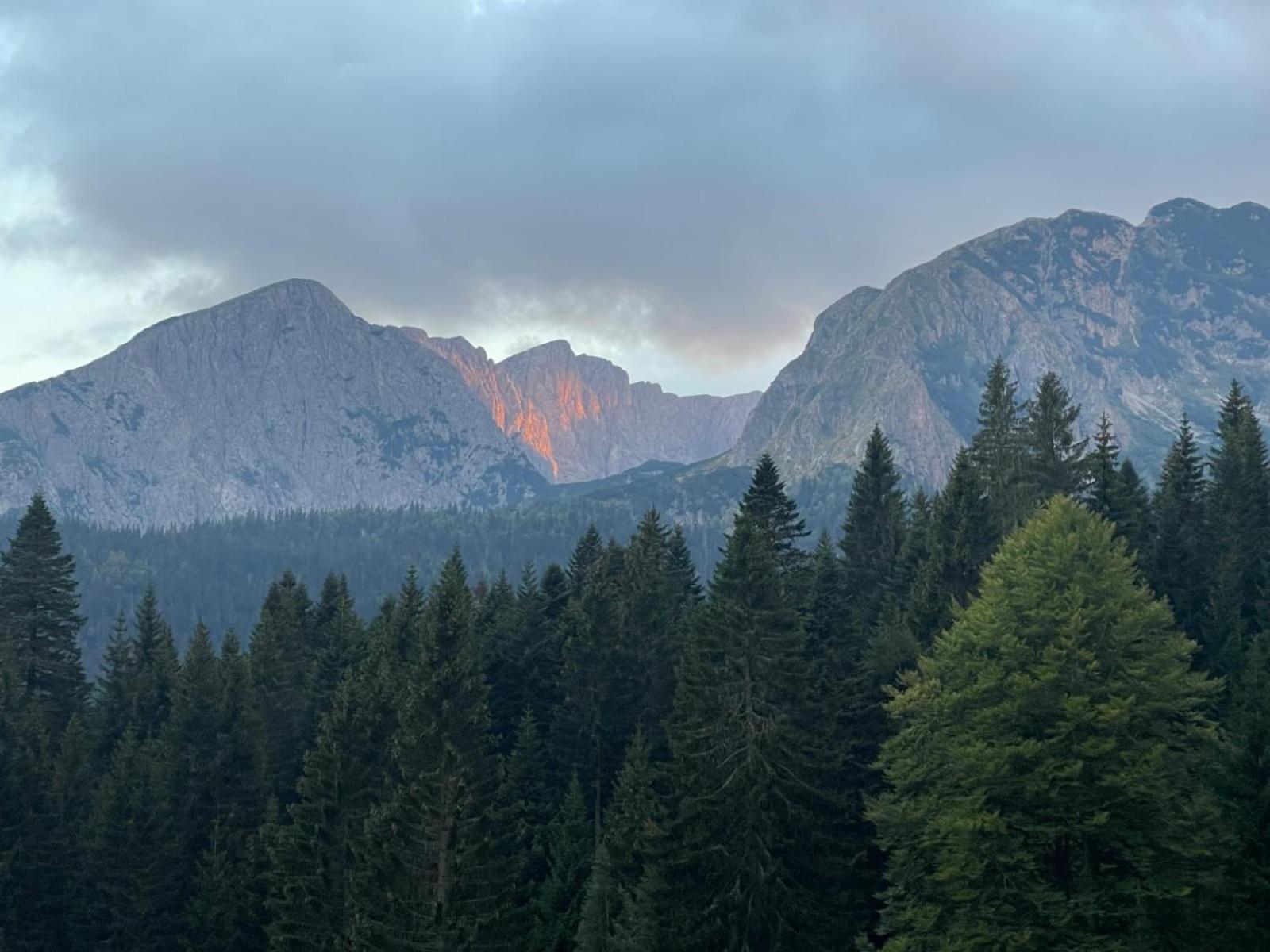 ŽabljakMagic Mountain别墅 外观 照片