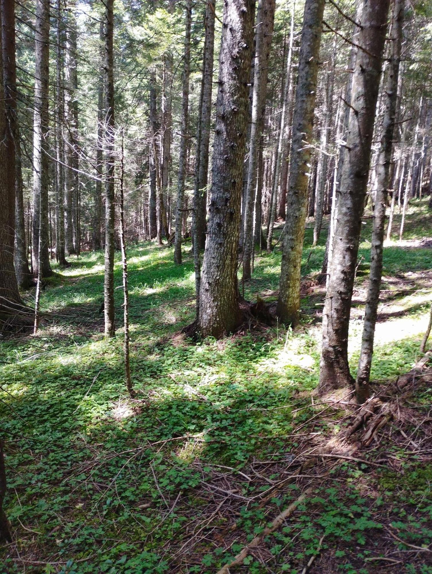 ŽabljakMagic Mountain别墅 外观 照片